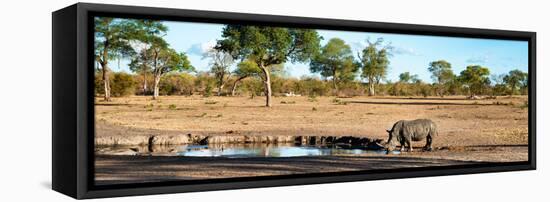 Awesome South Africa Collection Panoramic - Savannah Landscape with Rhino-Philippe Hugonnard-Framed Premier Image Canvas