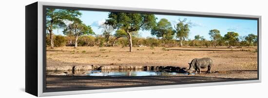 Awesome South Africa Collection Panoramic - Savannah Landscape with Rhino-Philippe Hugonnard-Framed Premier Image Canvas