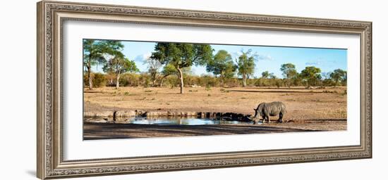 Awesome South Africa Collection Panoramic - Savannah Landscape with Rhino-Philippe Hugonnard-Framed Photographic Print