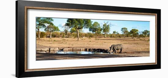 Awesome South Africa Collection Panoramic - Savannah Landscape with Rhino-Philippe Hugonnard-Framed Photographic Print