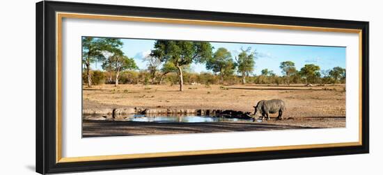 Awesome South Africa Collection Panoramic - Savannah Landscape with Rhino-Philippe Hugonnard-Framed Photographic Print