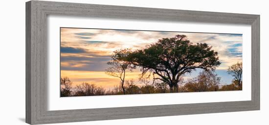 Awesome South Africa Collection Panoramic - Savannah Sunrise-Philippe Hugonnard-Framed Photographic Print