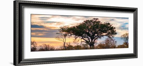 Awesome South Africa Collection Panoramic - Savannah Sunrise-Philippe Hugonnard-Framed Photographic Print