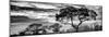 Awesome South Africa Collection Panoramic - Tree Silhouetted at Sunset B&W-Philippe Hugonnard-Mounted Photographic Print