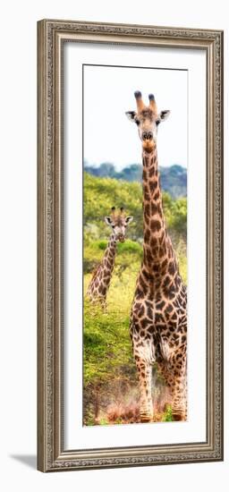 Awesome South Africa Collection Panoramic - Two Giraffes Portrait II-Philippe Hugonnard-Framed Photographic Print