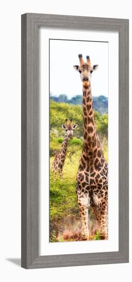 Awesome South Africa Collection Panoramic - Two Giraffes Portrait II-Philippe Hugonnard-Framed Photographic Print