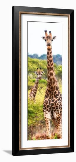 Awesome South Africa Collection Panoramic - Two Giraffes Portrait II-Philippe Hugonnard-Framed Photographic Print