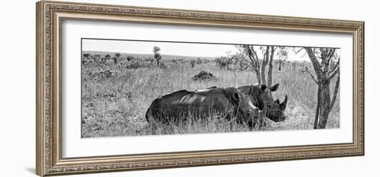 Awesome South Africa Collection Panoramic - Two White Rhinos I-Philippe Hugonnard-Framed Photographic Print