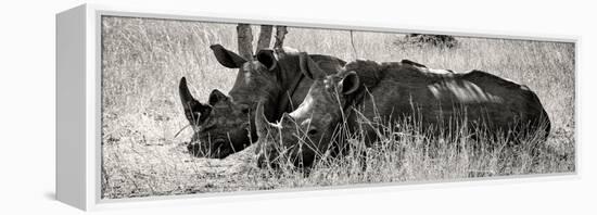 Awesome South Africa Collection Panoramic - Two White Rhinos II-Philippe Hugonnard-Framed Premier Image Canvas