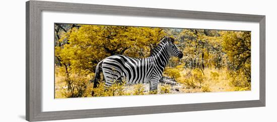 Awesome South Africa Collection Panoramic - Zebra Profile with Yellow Savanna-Philippe Hugonnard-Framed Photographic Print