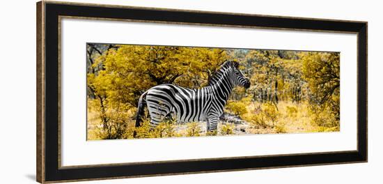 Awesome South Africa Collection Panoramic - Zebra Profile with Yellow Savanna-Philippe Hugonnard-Framed Photographic Print