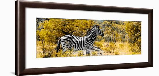 Awesome South Africa Collection Panoramic - Zebra Profile with Yellow Savanna-Philippe Hugonnard-Framed Photographic Print