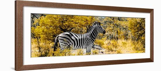 Awesome South Africa Collection Panoramic - Zebra Profile with Yellow Savanna-Philippe Hugonnard-Framed Photographic Print