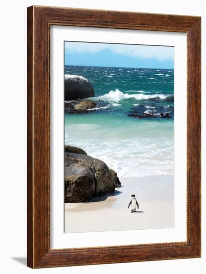 Awesome South Africa Collection - Penguin at Boulders Beach-Philippe Hugonnard-Framed Photographic Print