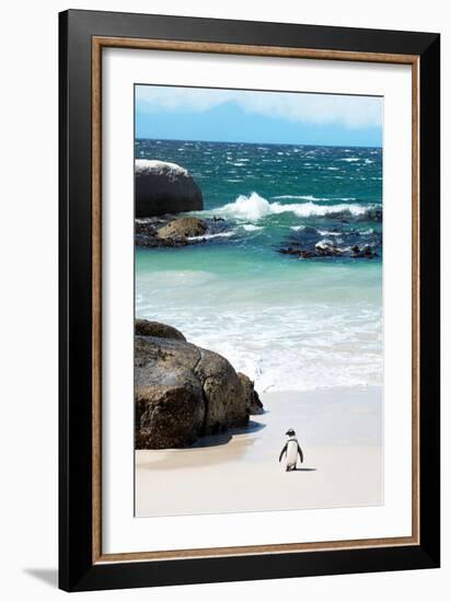 Awesome South Africa Collection - Penguin at Boulders Beach-Philippe Hugonnard-Framed Photographic Print