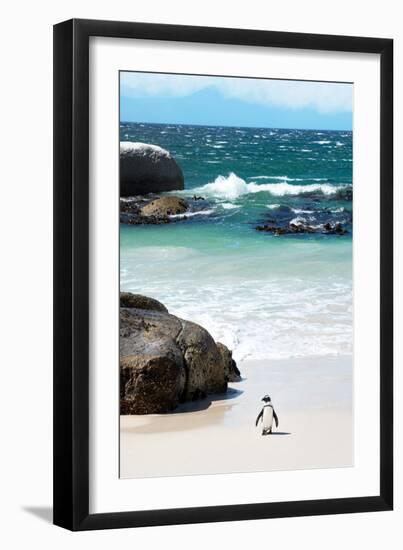 Awesome South Africa Collection - Penguin at Boulders Beach-Philippe Hugonnard-Framed Photographic Print