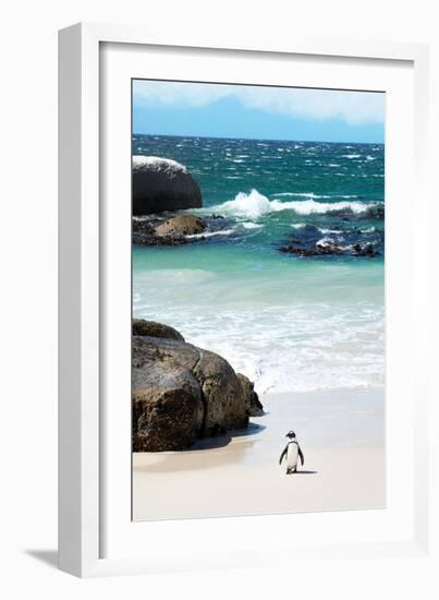 Awesome South Africa Collection - Penguin at Boulders Beach-Philippe Hugonnard-Framed Photographic Print