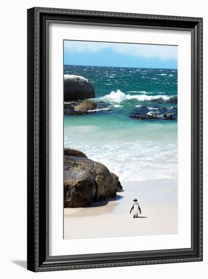 Awesome South Africa Collection - Penguin at Boulders Beach-Philippe Hugonnard-Framed Photographic Print