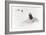 Awesome South Africa Collection - Penguin Lovers II-Philippe Hugonnard-Framed Photographic Print