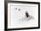 Awesome South Africa Collection - Penguin Lovers II-Philippe Hugonnard-Framed Photographic Print