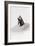 Awesome South Africa Collection - Penguin Lovers IV-Philippe Hugonnard-Framed Photographic Print