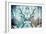 Awesome South Africa Collection - Reflection of Greater Kudu - Aquamarine & Grey-Philippe Hugonnard-Framed Photographic Print