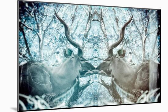 Awesome South Africa Collection - Reflection of Greater Kudu - Aquamarine & Grey-Philippe Hugonnard-Mounted Photographic Print