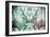 Awesome South Africa Collection - Reflection of Greater Kudu - Coral Green & Dimgray-Philippe Hugonnard-Framed Photographic Print