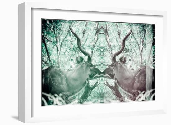 Awesome South Africa Collection - Reflection of Greater Kudu - Coral Green & Dimgray-Philippe Hugonnard-Framed Photographic Print