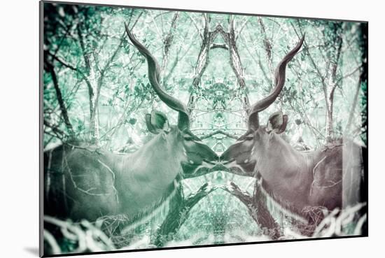 Awesome South Africa Collection - Reflection of Greater Kudu - Coral Green & Dimgray-Philippe Hugonnard-Mounted Photographic Print