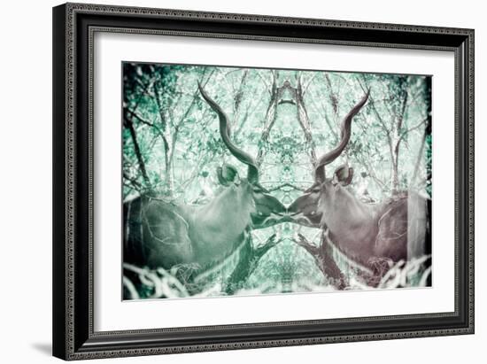 Awesome South Africa Collection - Reflection of Greater Kudu - Coral Green & Dimgray-Philippe Hugonnard-Framed Photographic Print