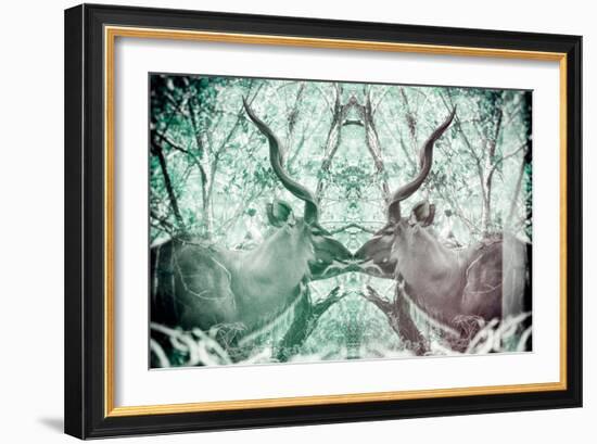 Awesome South Africa Collection - Reflection of Greater Kudu - Coral Green & Dimgray-Philippe Hugonnard-Framed Photographic Print