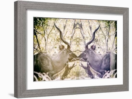 Awesome South Africa Collection - Reflection of Greater Kudu - Honey & Mauve-Philippe Hugonnard-Framed Photographic Print