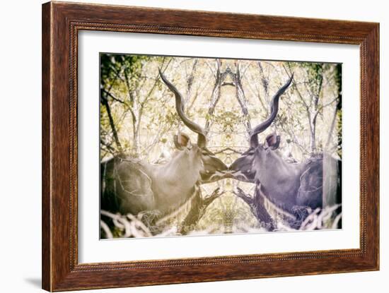 Awesome South Africa Collection - Reflection of Greater Kudu - Honey & Mauve-Philippe Hugonnard-Framed Photographic Print