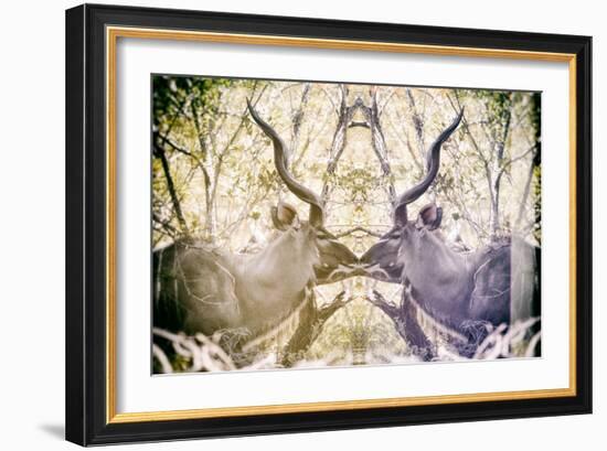 Awesome South Africa Collection - Reflection of Greater Kudu - Honey & Mauve-Philippe Hugonnard-Framed Photographic Print