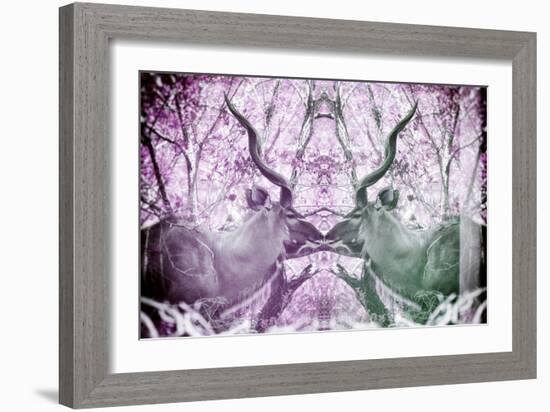 Awesome South Africa Collection - Reflection of Greater Kudu - Purple & Grey-Philippe Hugonnard-Framed Photographic Print