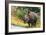 Awesome South Africa Collection - Rhinoceros-Philippe Hugonnard-Framed Photographic Print