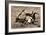 Awesome South Africa Collection - Safari Bone-Philippe Hugonnard-Framed Photographic Print