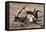 Awesome South Africa Collection - Safari Bone-Philippe Hugonnard-Framed Premier Image Canvas