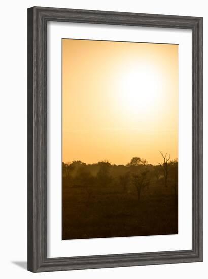 Awesome South Africa Collection - Savanna at Sunrise I-Philippe Hugonnard-Framed Photographic Print