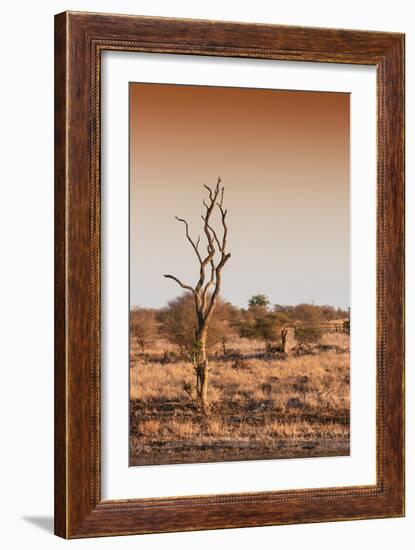 Awesome South Africa Collection - Savanna at Sunrise III-Philippe Hugonnard-Framed Photographic Print