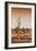 Awesome South Africa Collection - Savanna at Sunrise III-Philippe Hugonnard-Framed Photographic Print