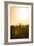 Awesome South Africa Collection - Savanna at Sunrise IV-Philippe Hugonnard-Framed Photographic Print