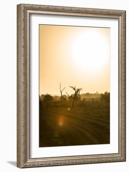 Awesome South Africa Collection - Savanna at Sunrise IV-Philippe Hugonnard-Framed Photographic Print