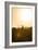 Awesome South Africa Collection - Savanna at Sunrise IV-Philippe Hugonnard-Framed Photographic Print