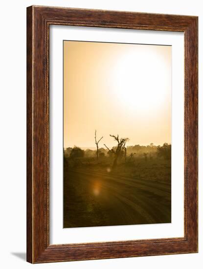 Awesome South Africa Collection - Savanna at Sunrise IV-Philippe Hugonnard-Framed Photographic Print