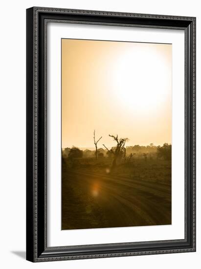 Awesome South Africa Collection - Savanna at Sunrise IV-Philippe Hugonnard-Framed Photographic Print