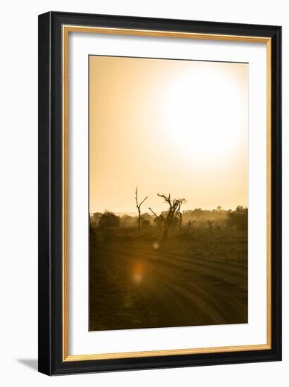 Awesome South Africa Collection - Savanna at Sunrise IV-Philippe Hugonnard-Framed Photographic Print