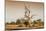 Awesome South Africa Collection - Savanna at Sunrise V-Philippe Hugonnard-Mounted Photographic Print