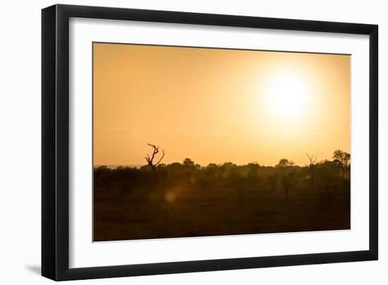 Awesome South Africa Collection - Savanna at Sunrise-Philippe Hugonnard-Framed Photographic Print